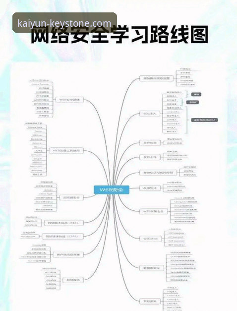开云官网服务 开云官网服务使用教程:从入门到精通的安全操作指南